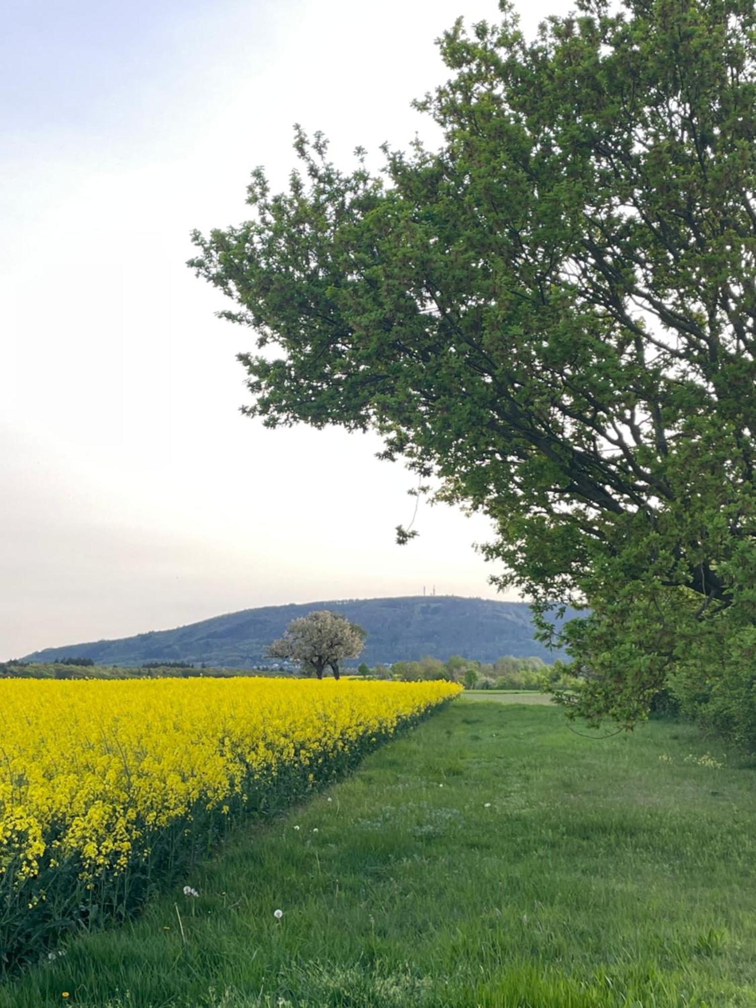 Вилла "Casita Linda "Am Donnersberg Dannenfels Экстерьер фото