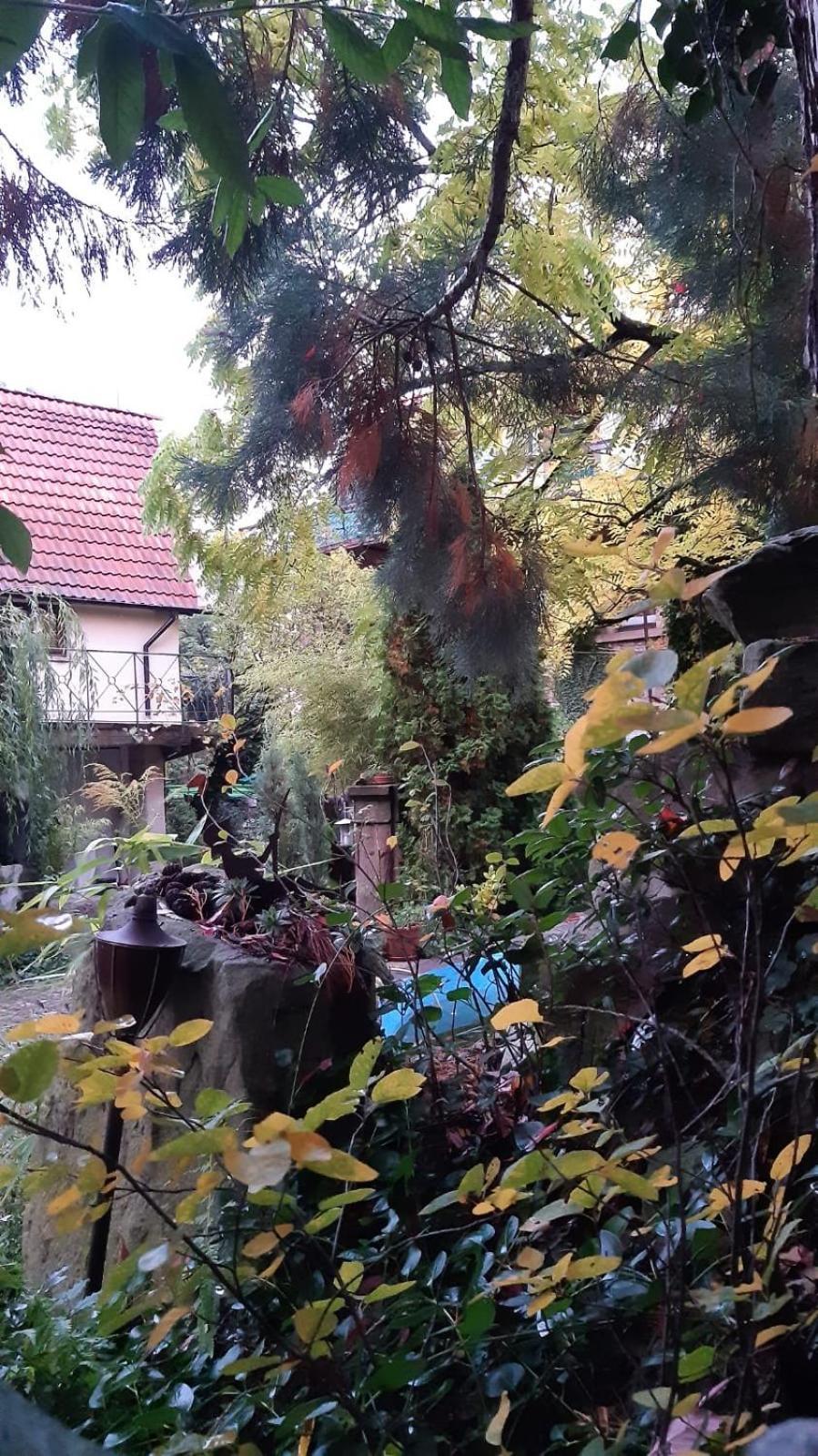 Вилла "Casita Linda "Am Donnersberg Dannenfels Экстерьер фото