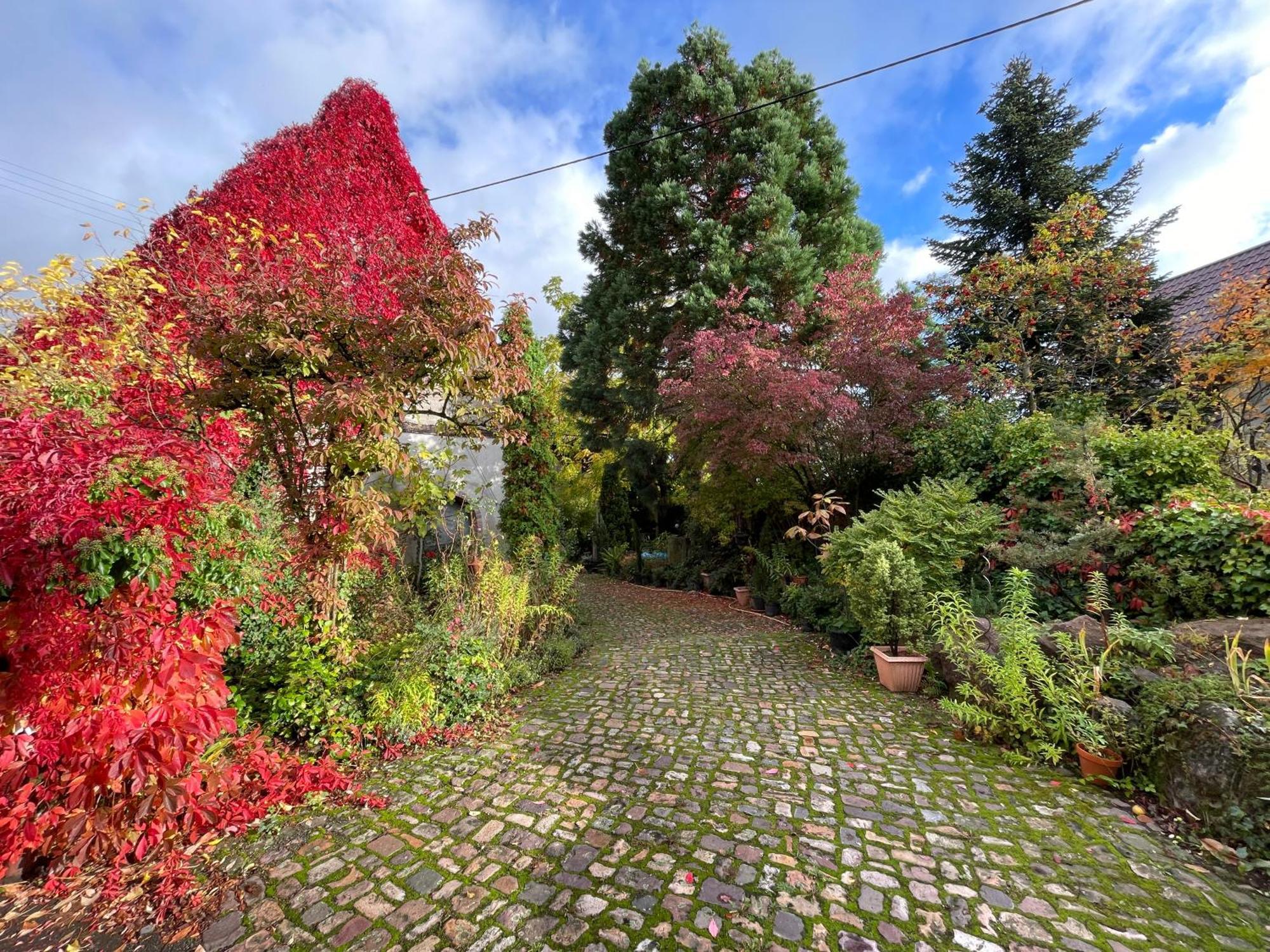 Вилла "Casita Linda "Am Donnersberg Dannenfels Экстерьер фото